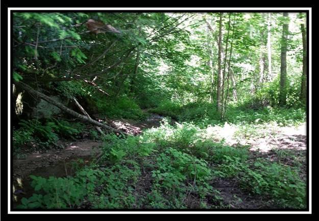 41346 Baker Road Pomeroy, OH 45769 - Photo 6 of 8