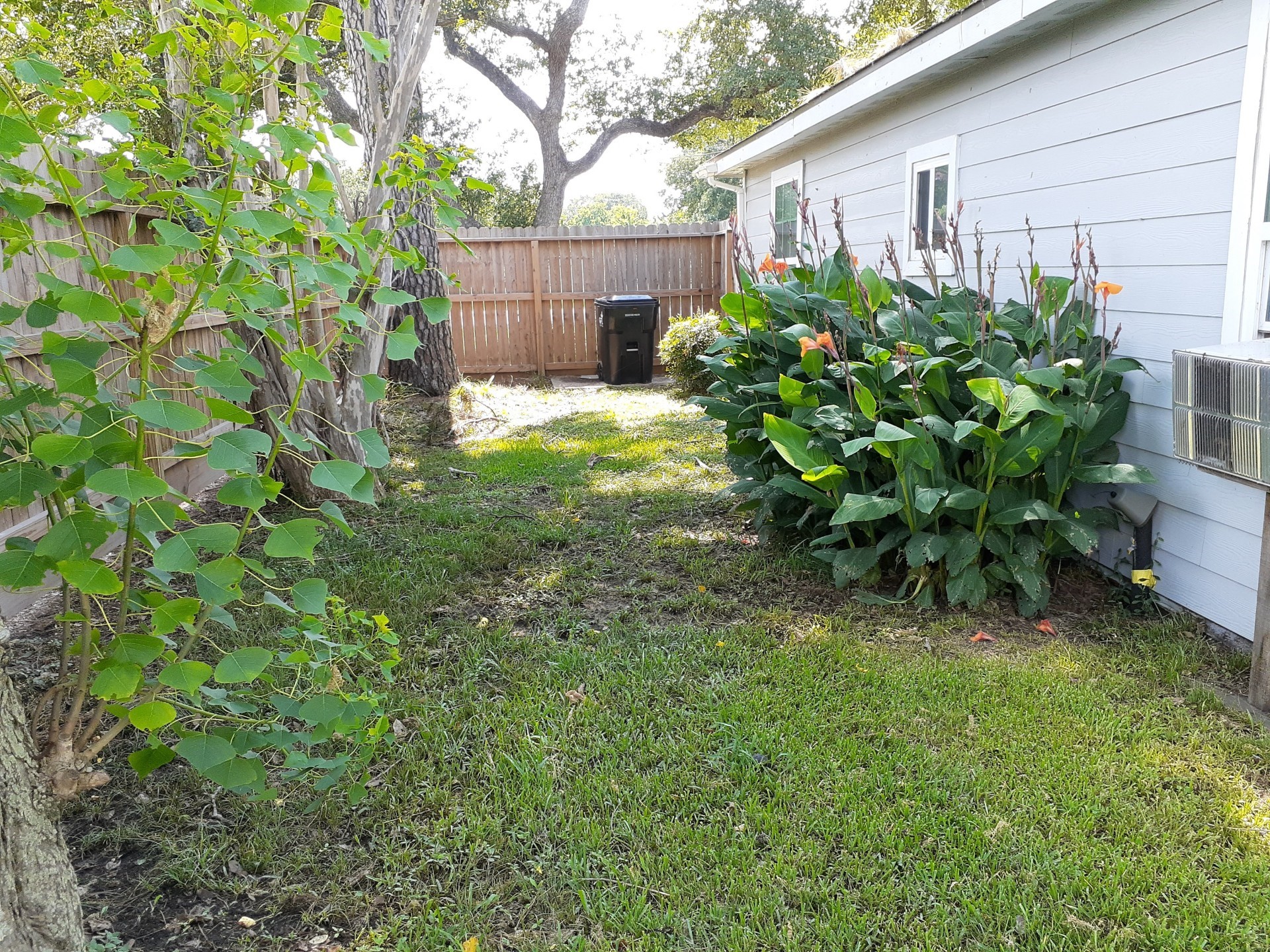 3319 Houston Street Rosenberg, TX 77471 - Photo 9 of 11 Gallery Image 9