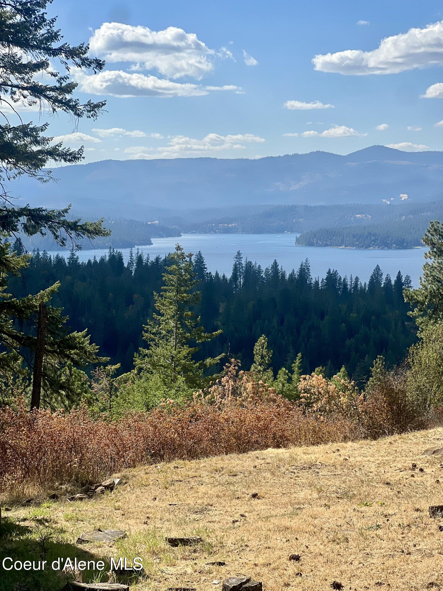 8983 South Gozzer Road Harrison, ID 83833 - Photo 3 of 10 Extraordinary Lake Views