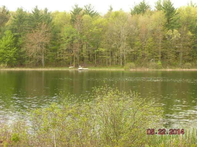 11451 Sandy Bottom Road Northeast Cedar Springs, MI 49319 - Photo 3 of 11 Additional Photo