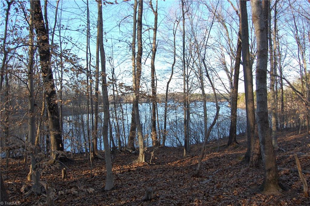 Second view from the property of Lake Mackintosh.