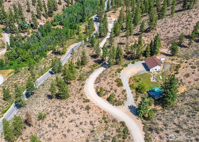 a view of a garden with plants