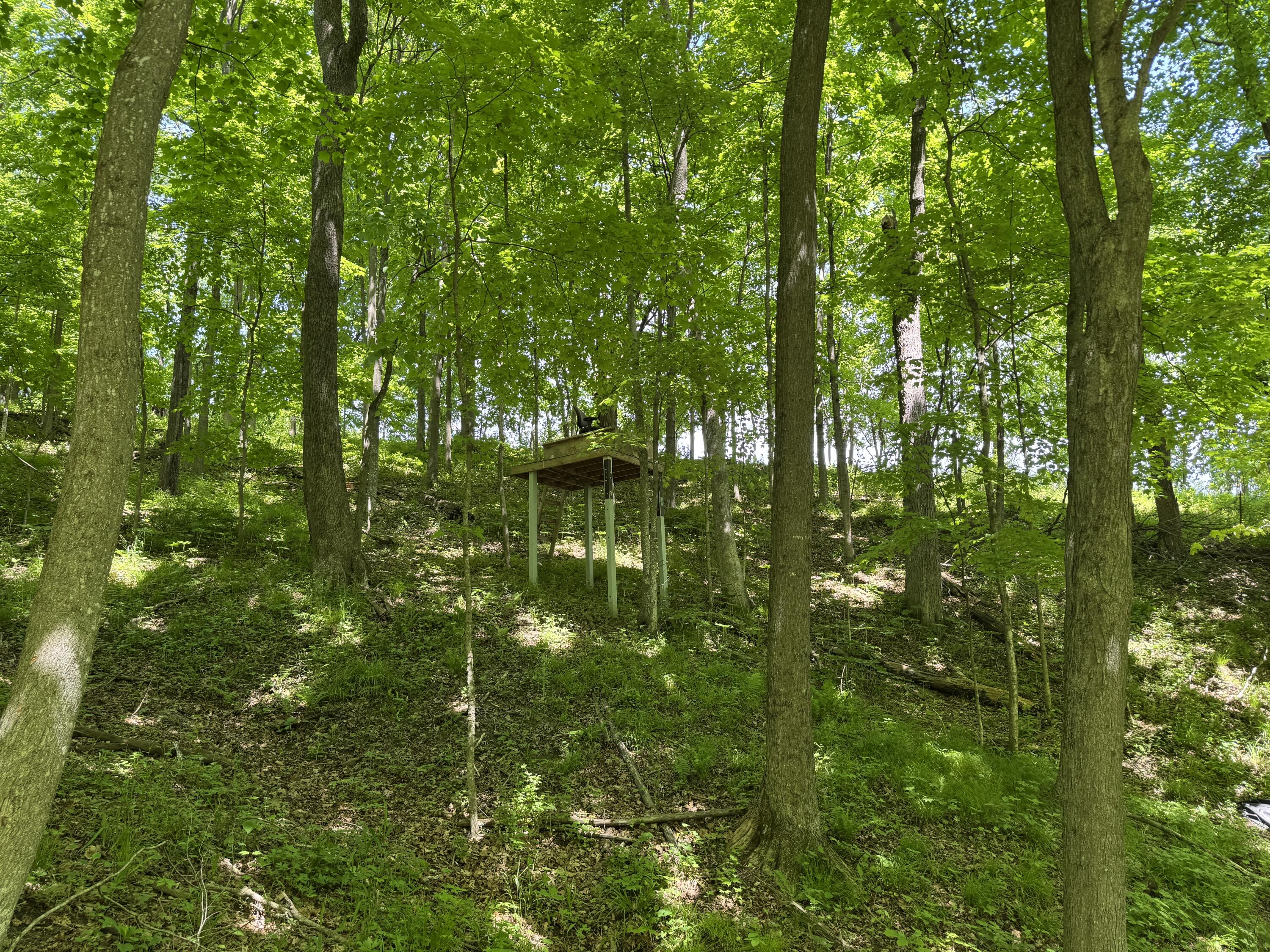 21376 Noble Avenue Sheldon, WI 54651 - Photo 79 of 85 IMG_0704
