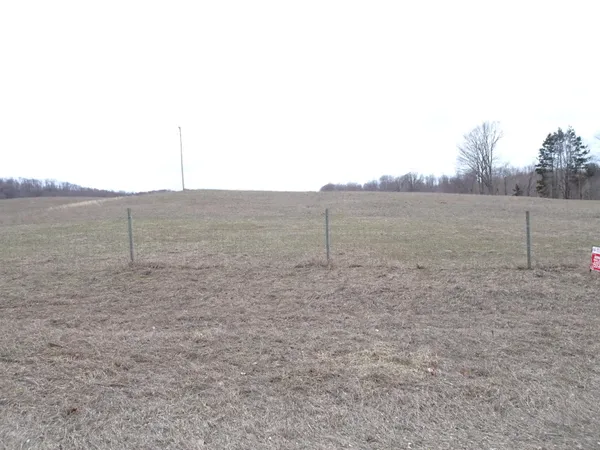 $62,000 | Chief ''f'' Road, Bear Lake, MI 49614