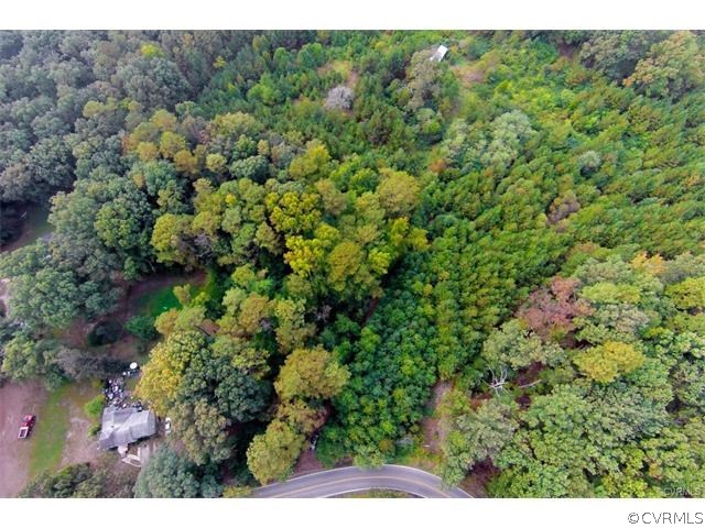 7566 Strath Road Henrico, VA 23231 - Photo 6 of 11 a view of a bunch of trees and bushes