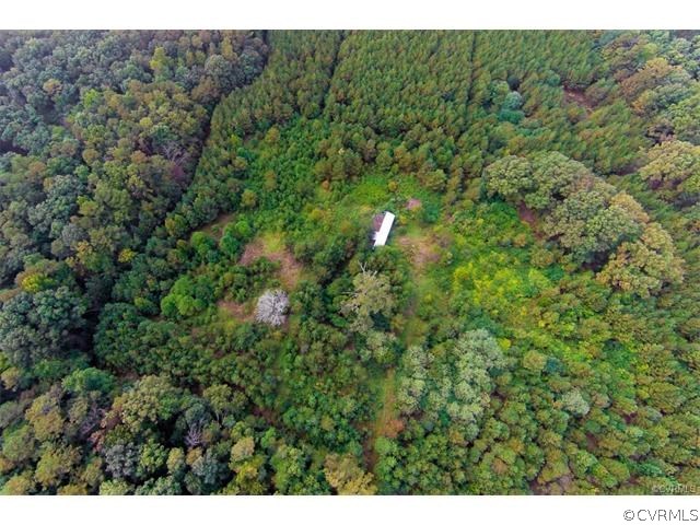 7566 Strath Road Henrico, VA 23231 - Photo 7 of 11 a view of a forest with a street