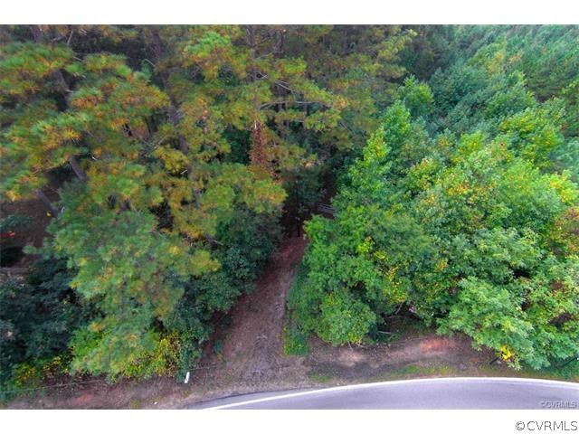 7566 Strath Road Henrico, VA 23231 - Photo 10 of 11 a view of a forest with a street