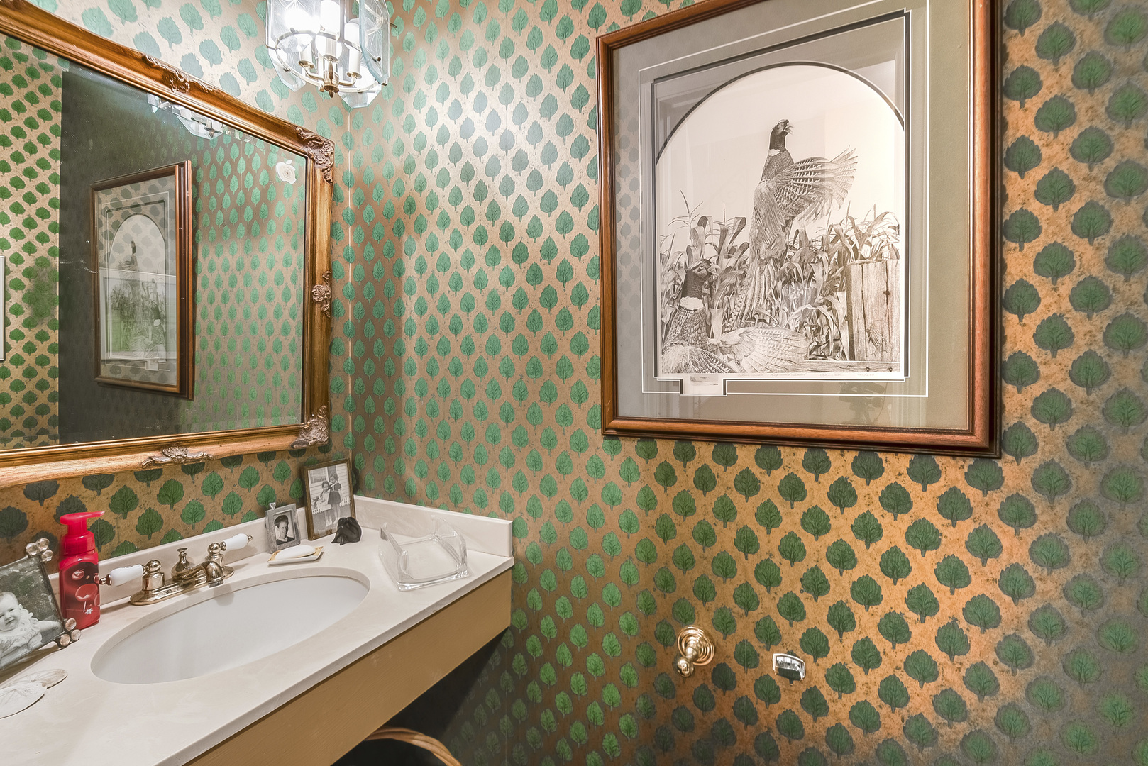 731 Raleigh Court Northbrook, IL 60062 - Photo 8 of 23 a bathroom with a sink a mirror and a shower curtain