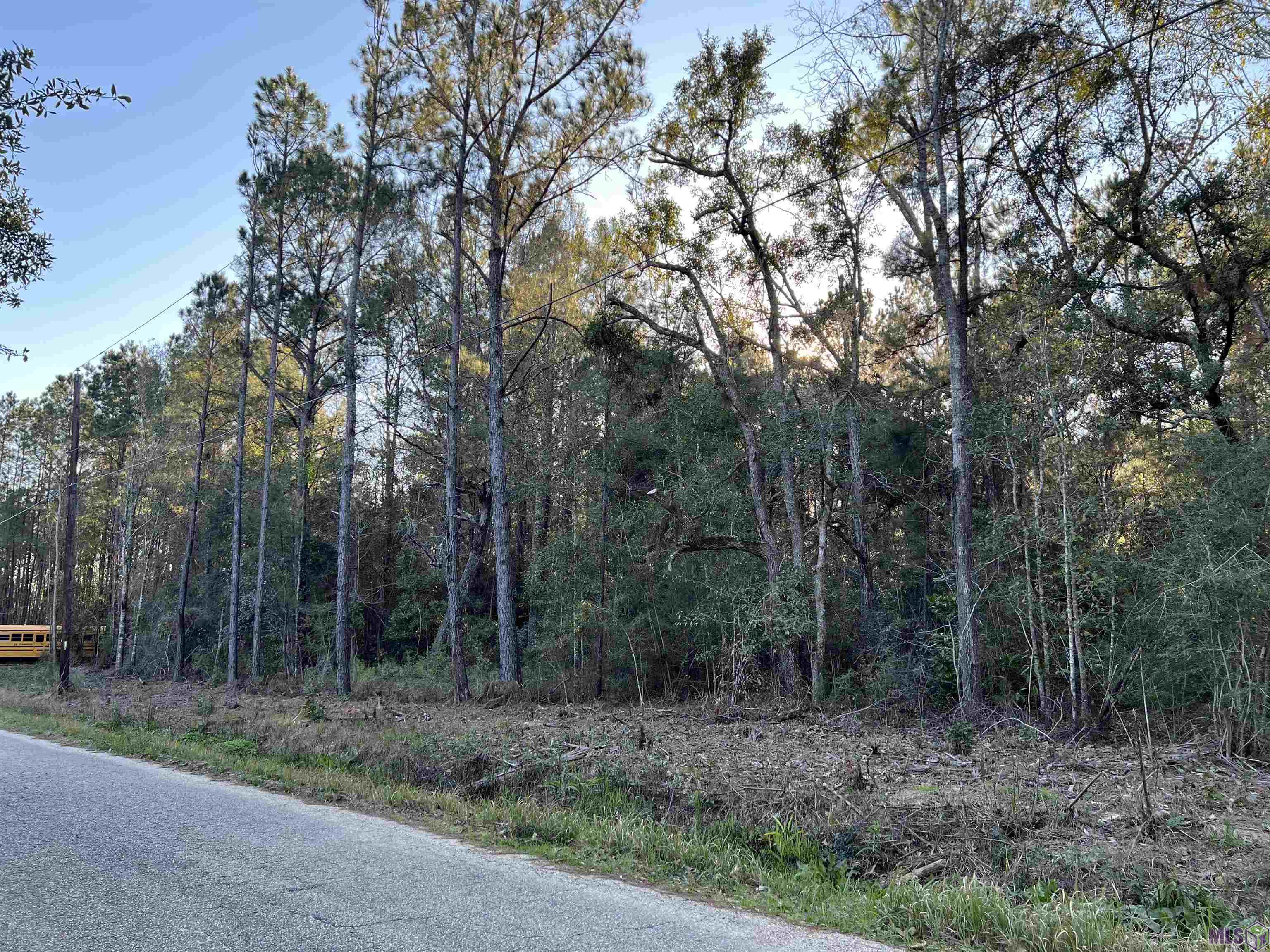 Tba Tba Vista Street Lacombe, LA 70445 - Photo 2 of 6