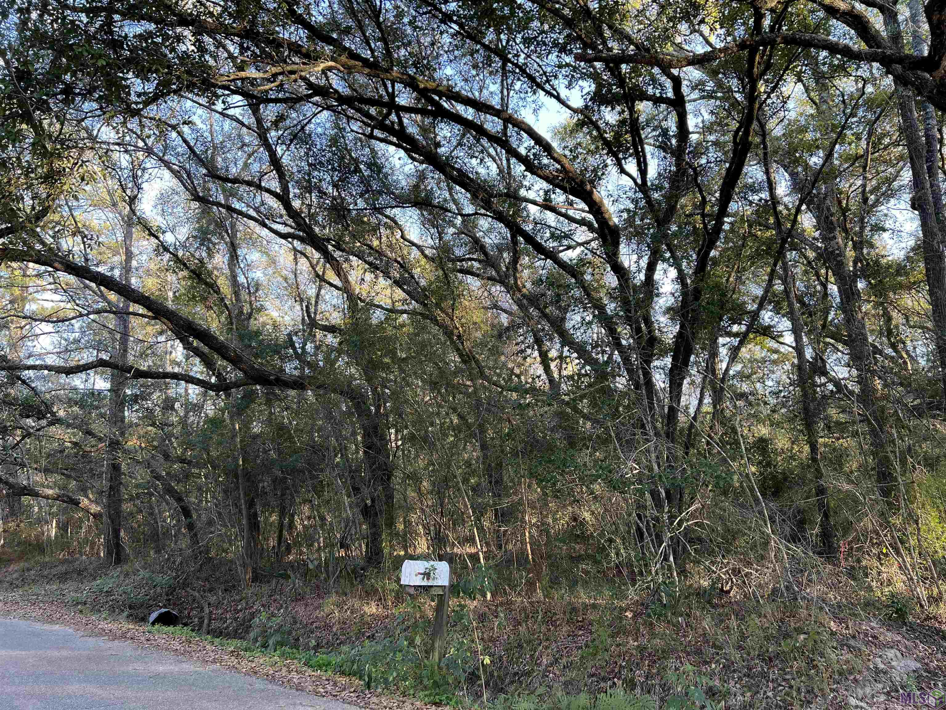 Tba Tba Vista Street Lacombe, LA 70445 - Photo 4 of 6