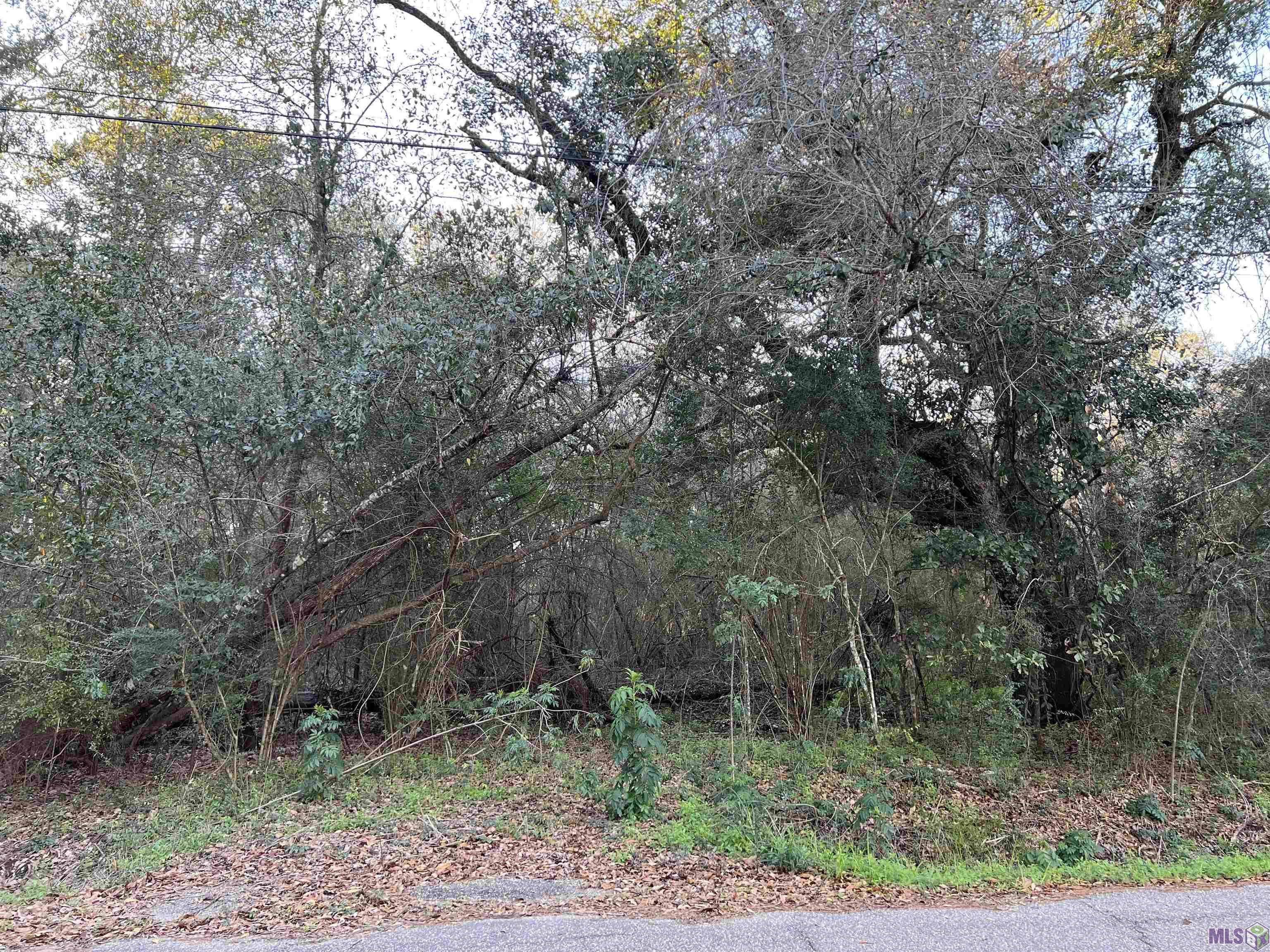 Tba Tba Vista Street Lacombe, LA 70445 - Photo 5 of 6