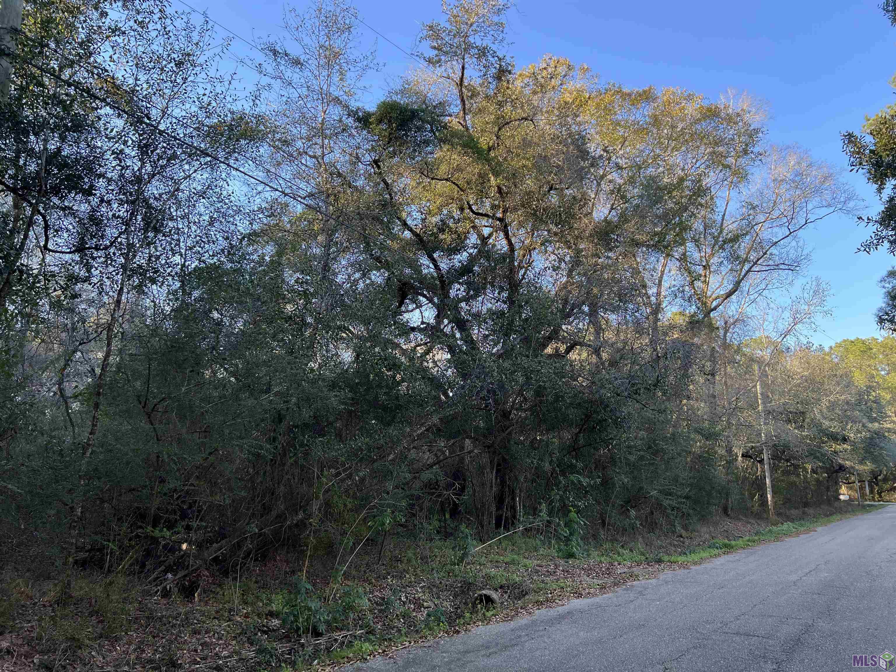 Tba Tba Vista Street Lacombe, LA 70445 - Photo 6 of 6