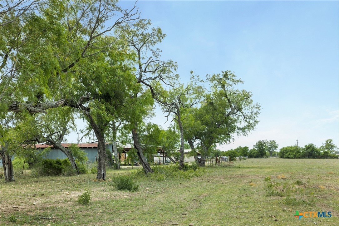 9765 State Park Road Lockhart, TX 78644 - Photo 23 of 40 a view of a field with trees