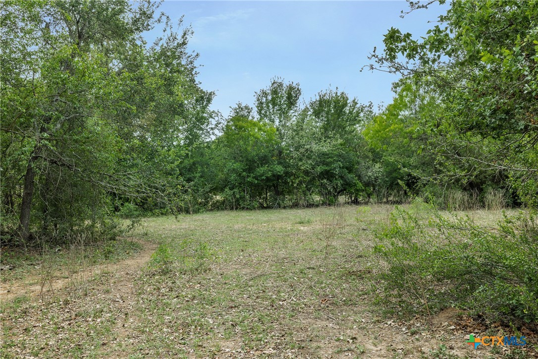 9765 State Park Road Lockhart, TX 78644 - Photo 31 of 40 a view of a yard with a tree