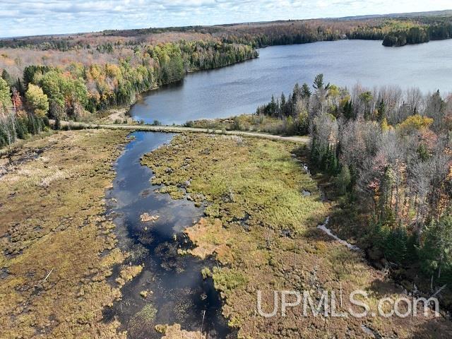 5800 Wolf Lake Road Watersmeet, MI 49969 - Photo 3 of 86