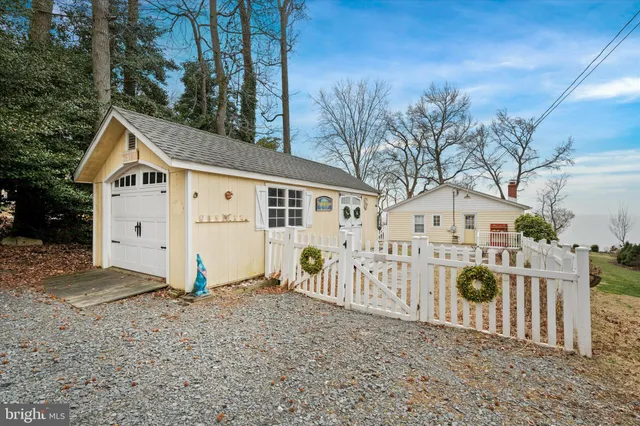 a view of a yard with plants and trees