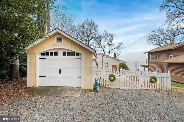 a view of a yard with plants