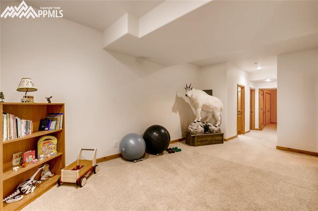 16850 Bar X Road Colorado Springs, CO 80908 - Photo 19 of 26 Gallery Image 19