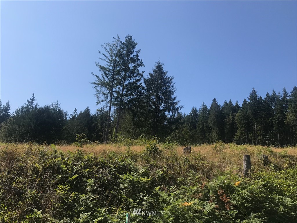 106 Brier Road Centralia, WA 98531 - Photo 1 of 9 Gallery Image 1