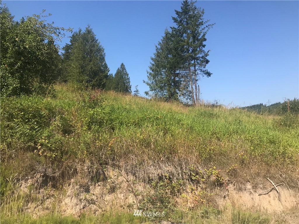 106 Brier Road Centralia, WA 98531 - Photo 2 of 9 Gallery Image 2