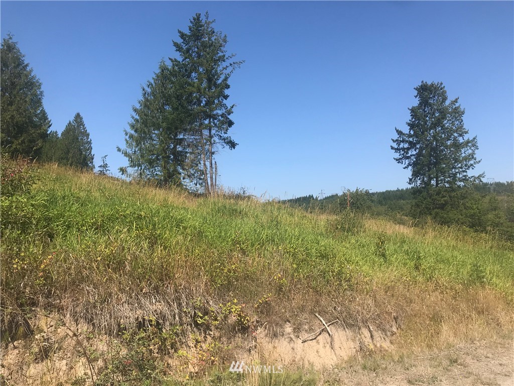 106 Brier Road Centralia, WA 98531 - Photo 4 of 9 Gallery Image 4