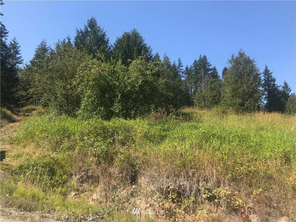 106 Brier Road Centralia, WA 98531 - Photo 5 of 9 Gallery Image 5