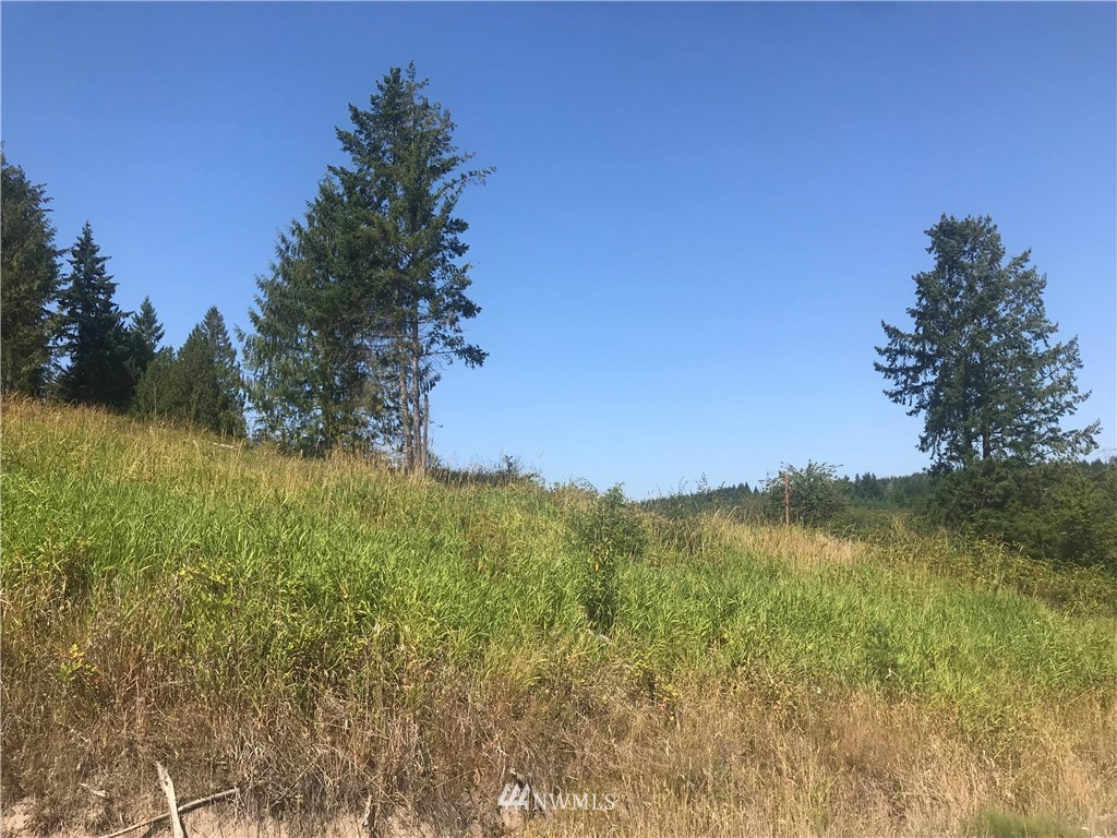 106 Brier Road Centralia, WA 98531 - Photo 7 of 9 Gallery Image 7