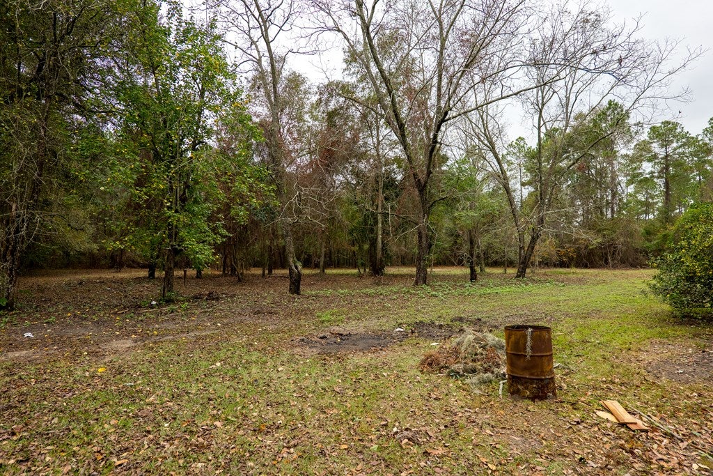 6711 Miller Bridge Road Hahira, GA 31632 - Photo 41 of 44 Gallery Image 41
