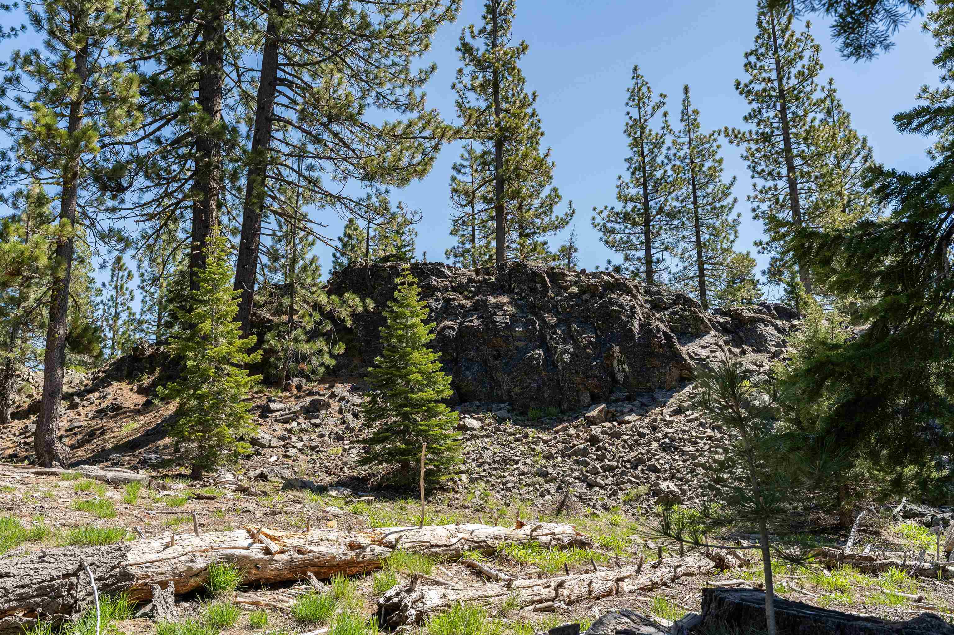 Henness Pass Road Sierra City, CA 96125 - Photo 13 of 28