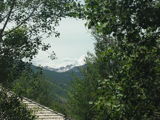 1141 June Creek Road, Unit A Edwards, CO 81632 - Photo 21 of 23 Additional Photo