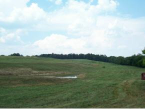 3368 Old State Rte 34 Limestone, TN 37681 - Photo 4 of 9 Photo 4
