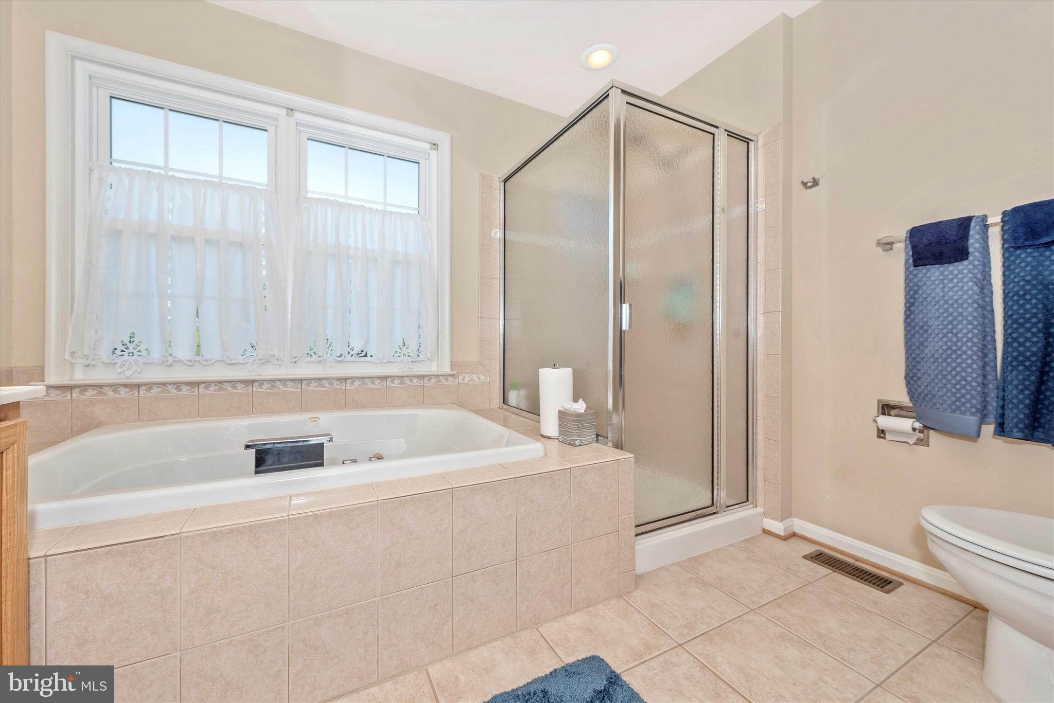 202 Timber View Court Frederick, MD 21702 - Photo 16 of 31 Master suite full private bath.