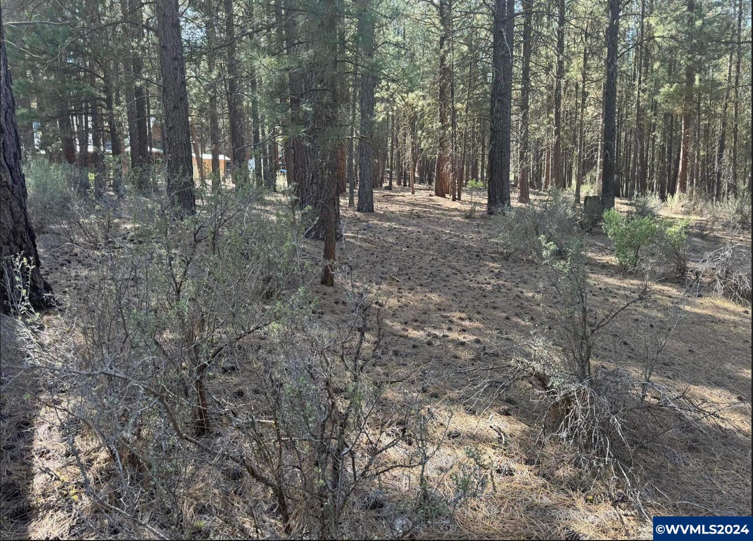 Lot 3 North Waterview Way Chiloquin, OR 97624 - Photo 1 of 8