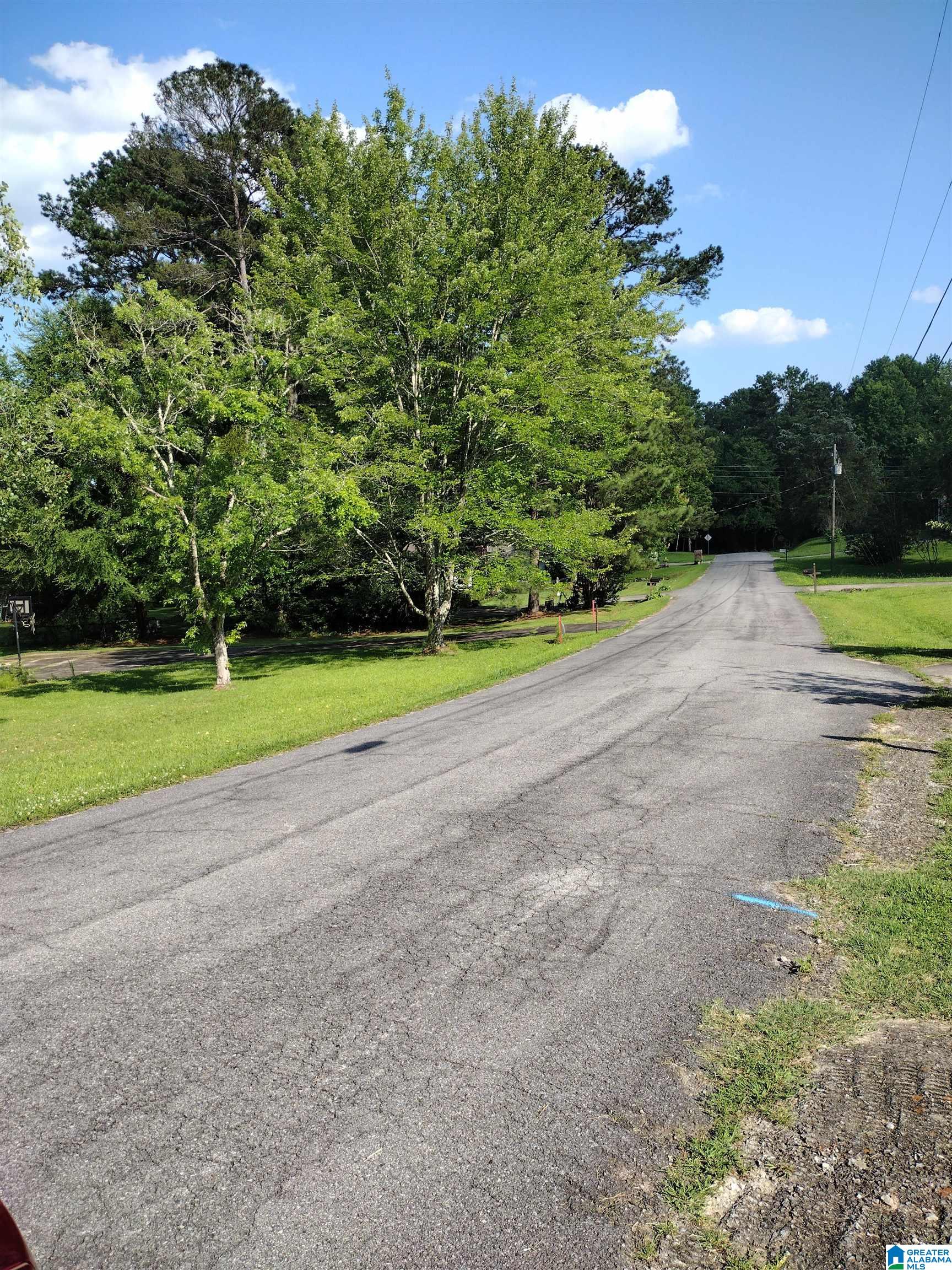 807 Rock Ridge Road Weaver, AL 36277 - Photo 47 of 50