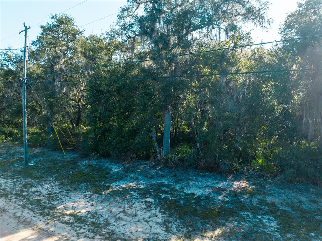 5790 Bryce Street Keystone Heights, FL 32656 - Photo 4 of 6