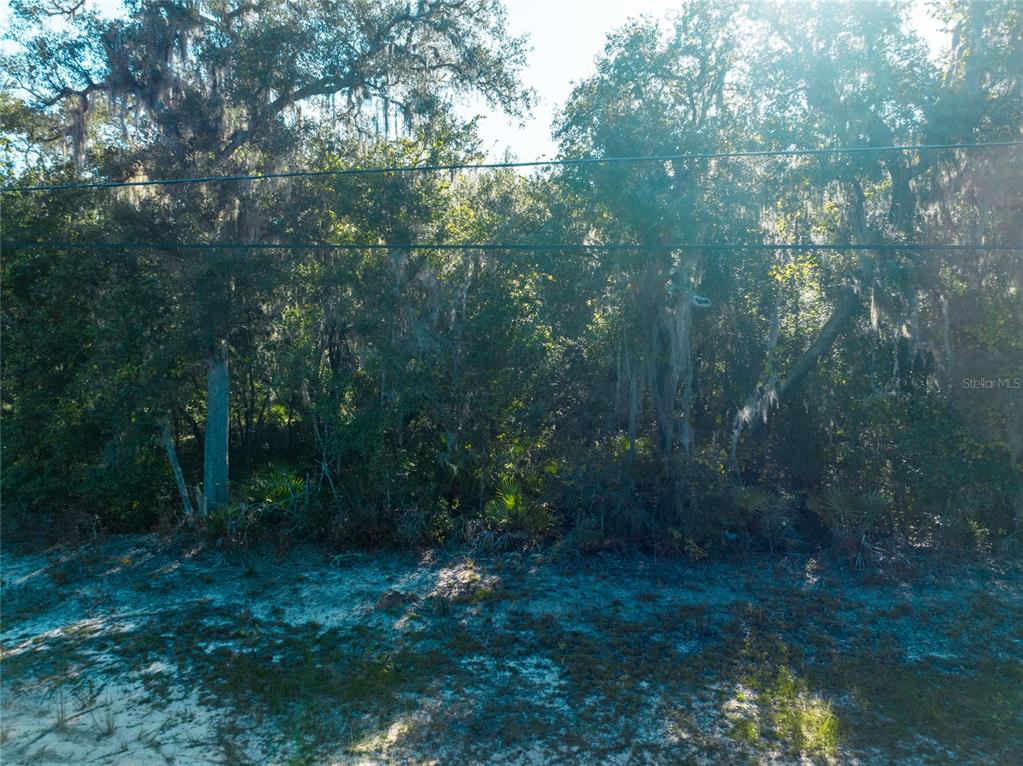 5790 Bryce Street Keystone Heights, FL 32656 - Photo 5 of 6