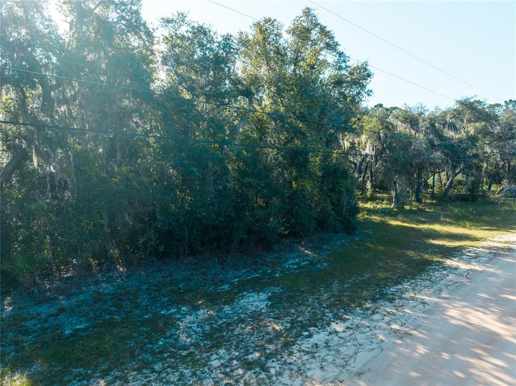 5790 Bryce Street Keystone Heights, FL 32656 - Photo 6 of 6