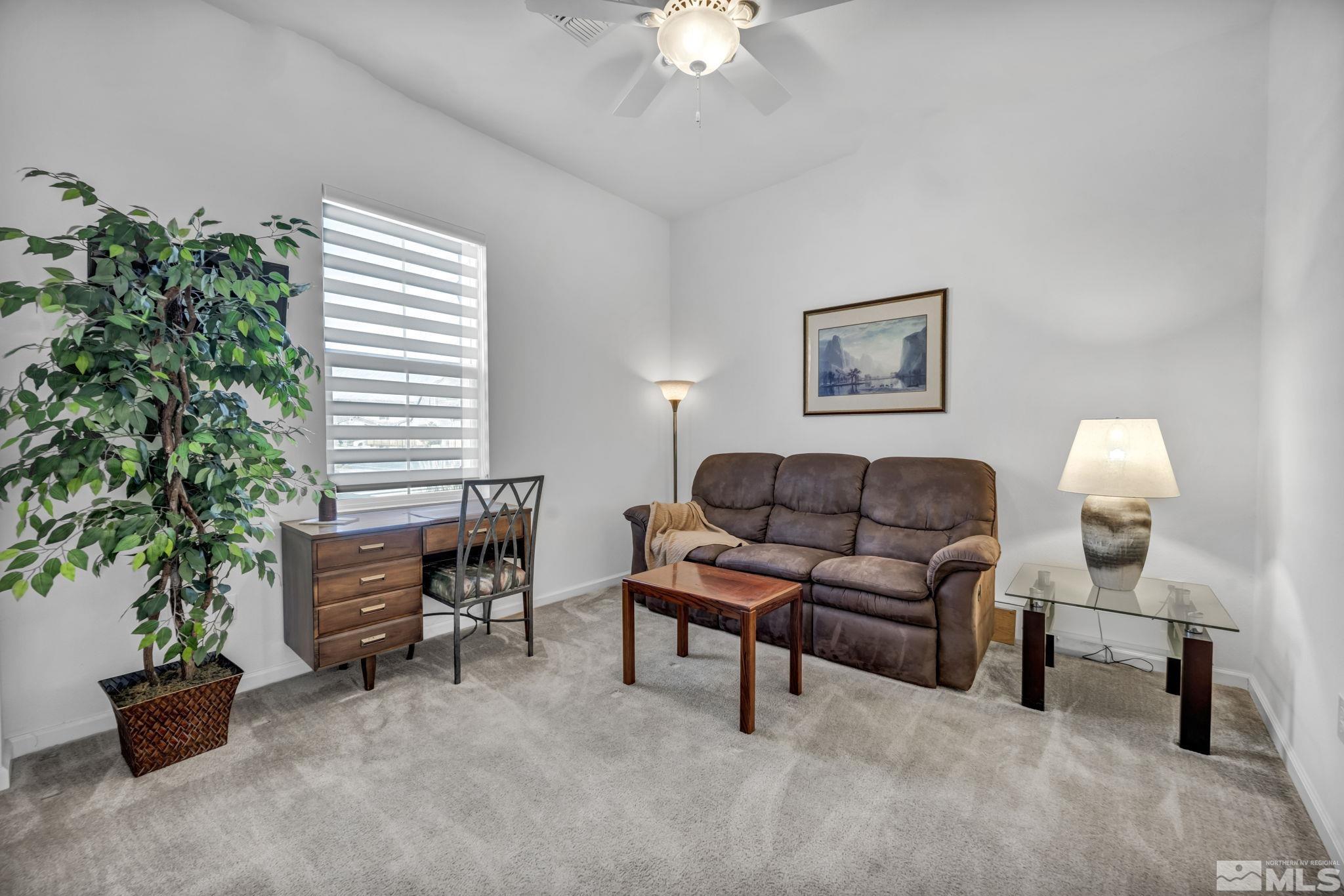 9500 Hawkshead Road Reno, NV 89521 - Photo 27 of 40 a living room with furniture and a potted plant