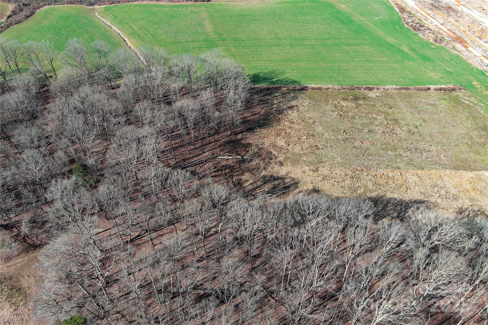 5823 Stack Road Monroe, NC 28112 - Photo 12 of 16 a view of a dry yard with wooden fence