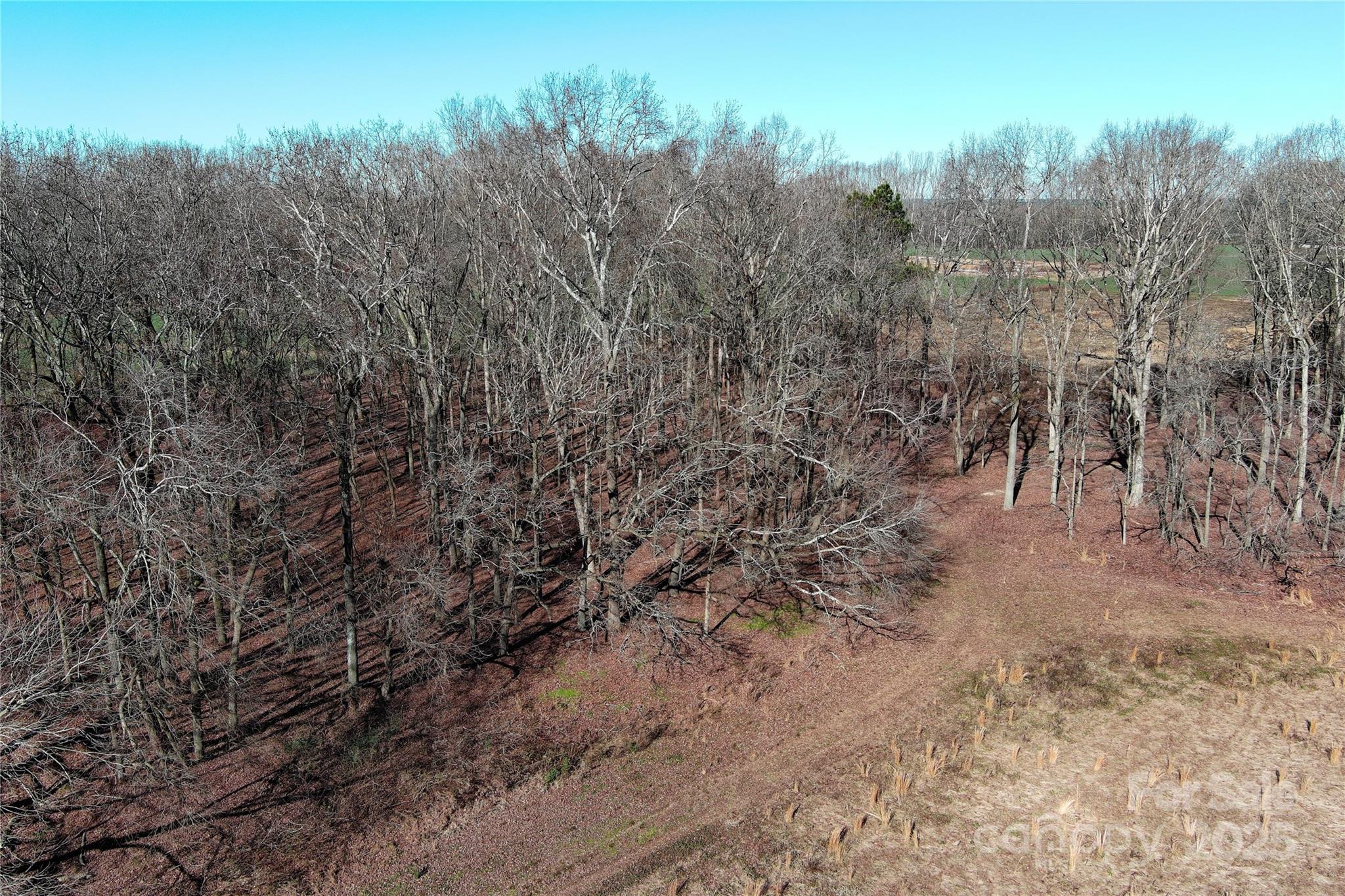 5823 Stack Road Monroe, NC 28112 - Photo 4 of 16 a view of a yard with a tree