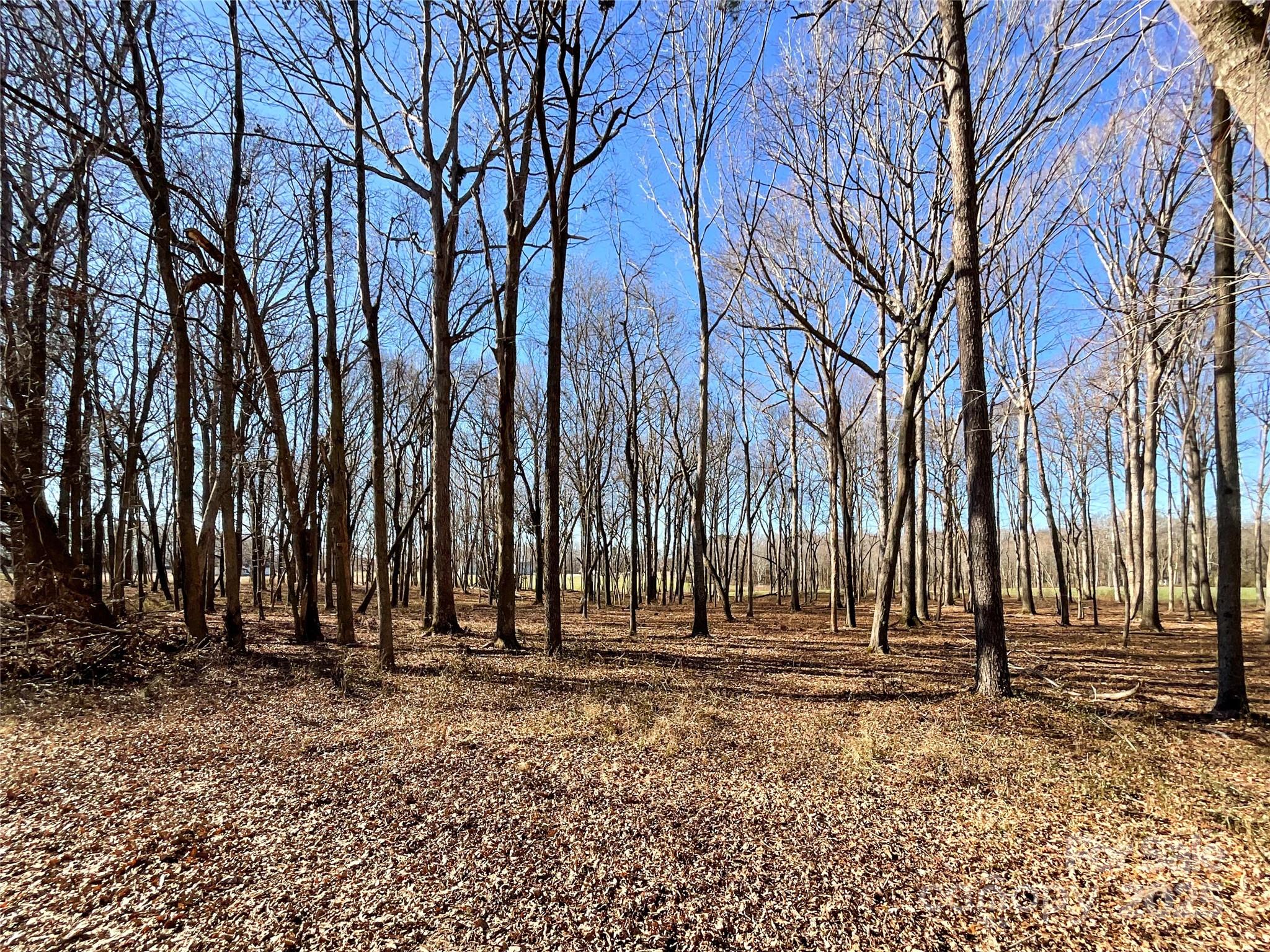 5823 Stack Road Monroe, NC 28112 - Photo 7 of 16 a view of outdoor space with trees