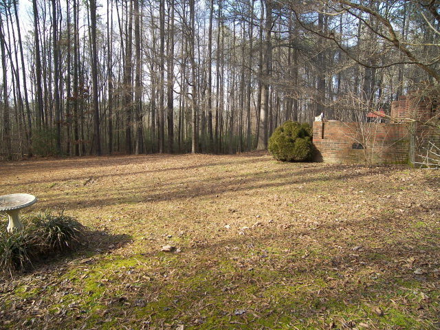 368 North Big Woods Road Spring Hope, NC 27882 - Photo 7 of 7 Additional Photo