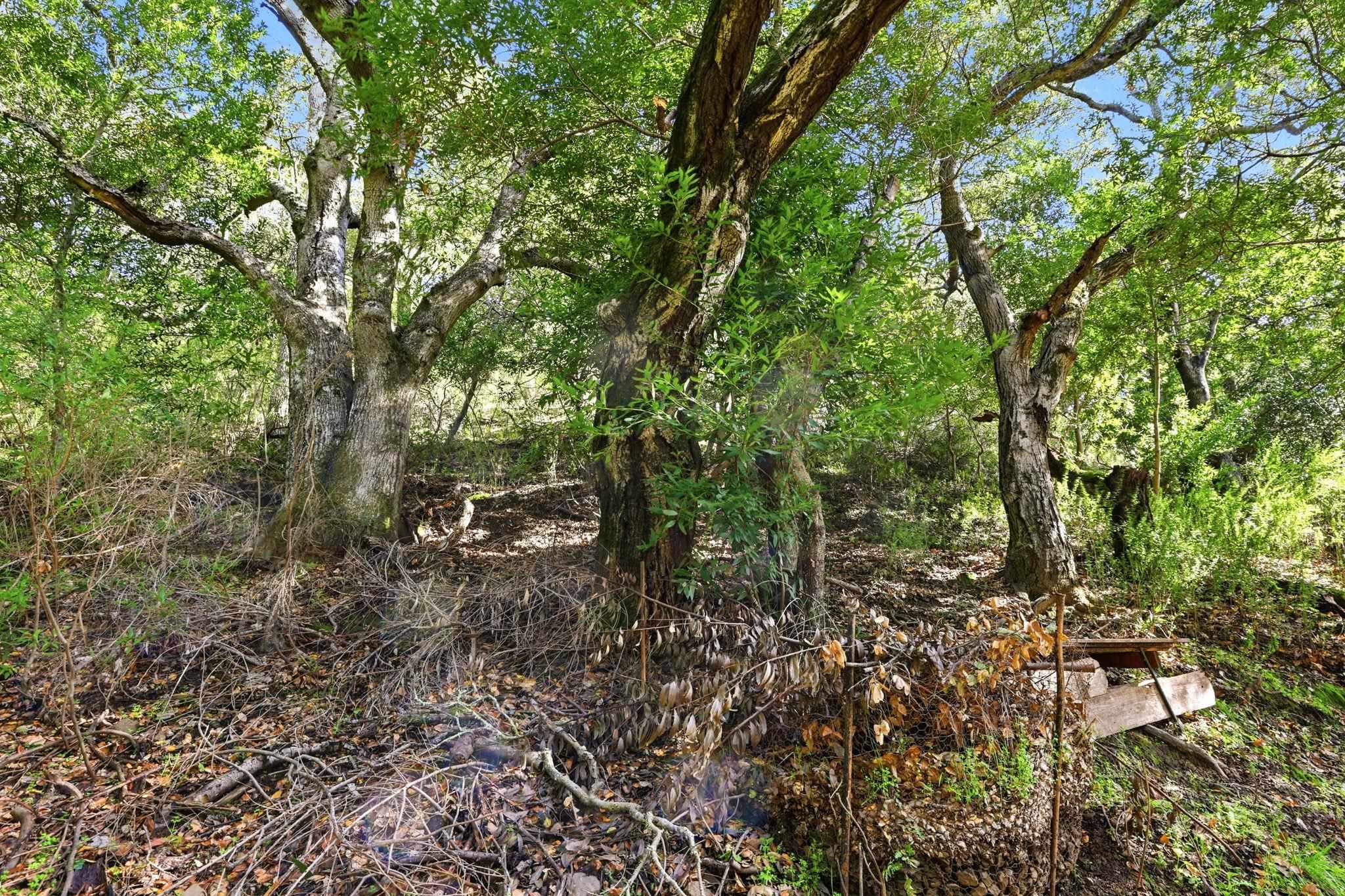 2397 Kilkare Road Sunol, CA 94586 - Photo 34 of 45