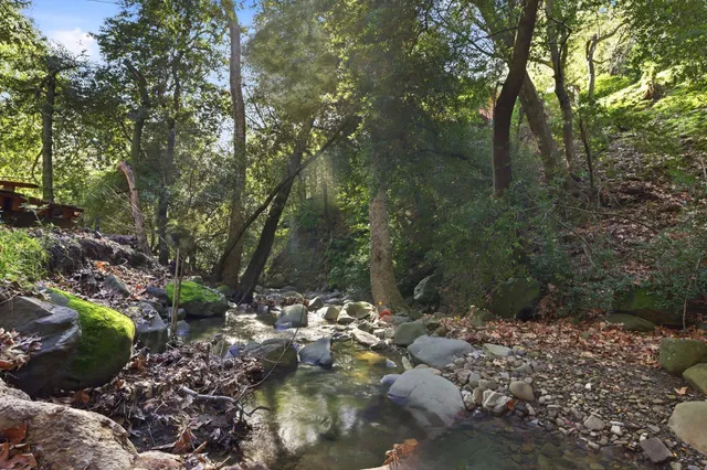 a view of a house with a big yard and large tree
