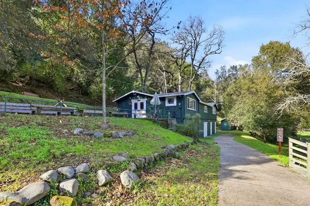 a view of a yard with plants and large trees