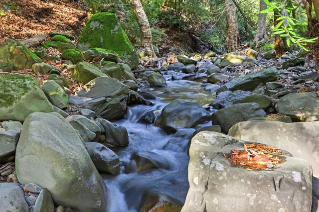 a backyard of a house with lots of green space