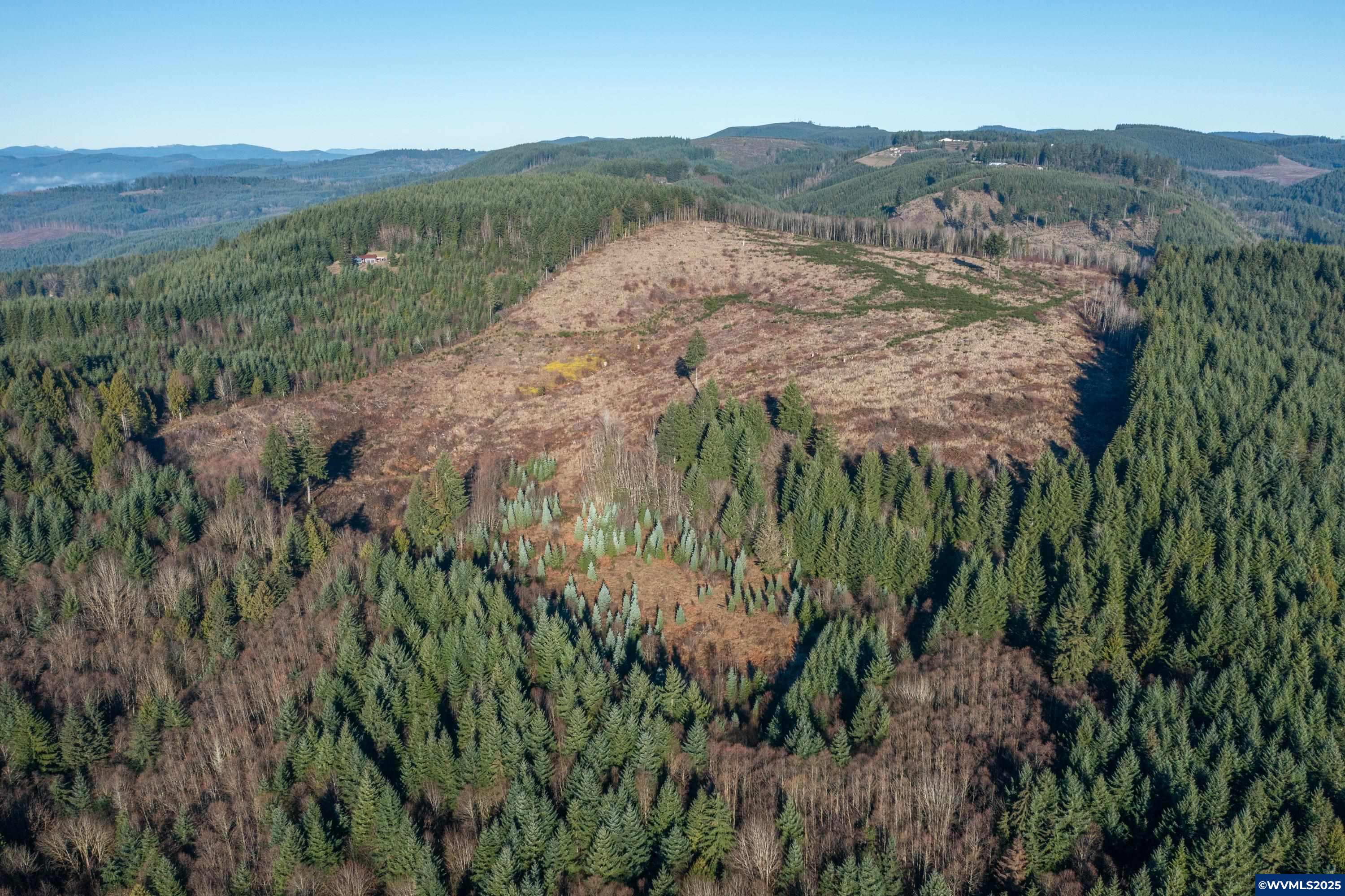 0 Northwest Sellers Road North Plains, OR 97133 - Photo 29 of 36