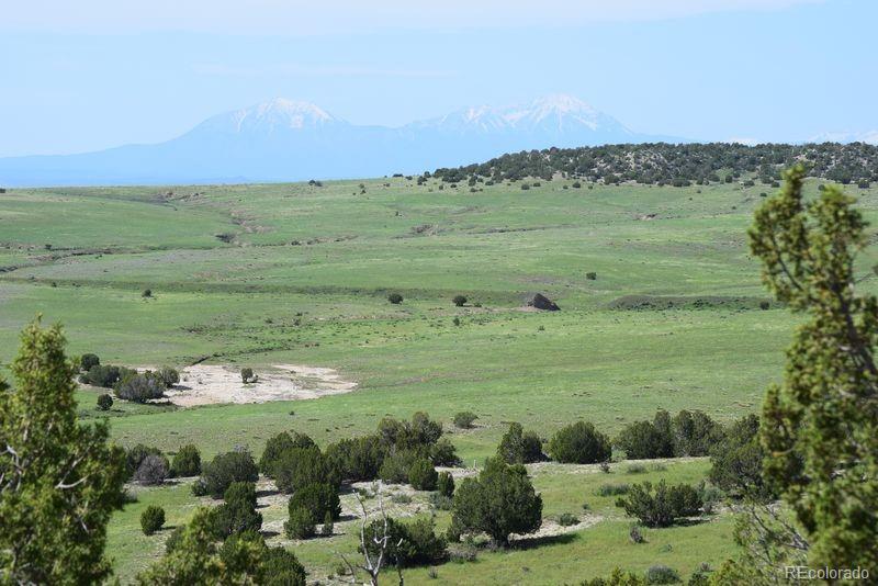 0 Claymine Road Rye, CO 81069 - Photo 6 of 33 Gallery Image 6