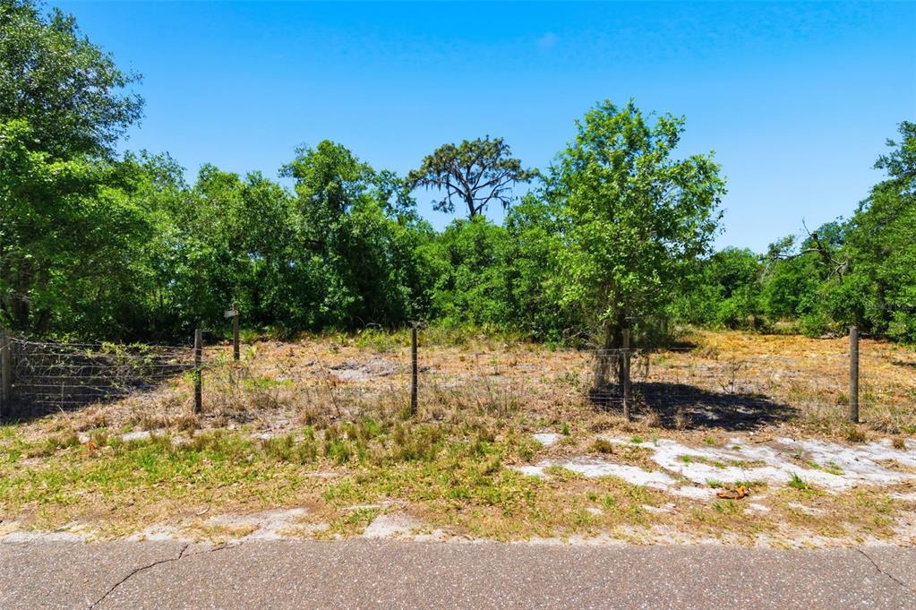 19084 Red Bird Lane, Unit LOT 2 Lithia, FL 33547 - Photo 5 of 20