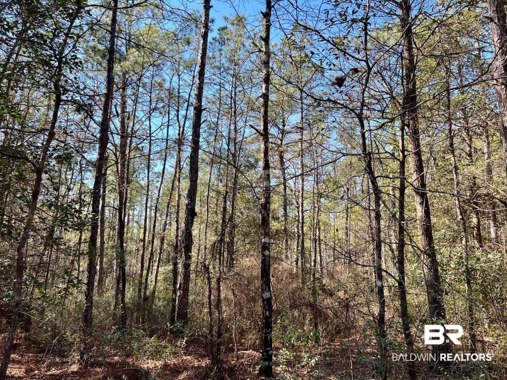 0 Country Road Deer Park, AL 36529 - Photo 27 of 46